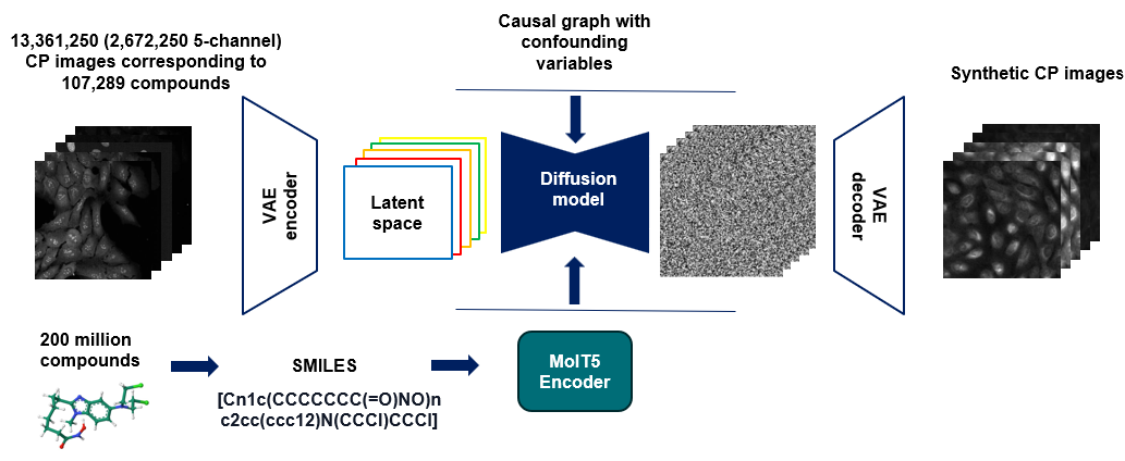 Confounder-aware latent diffusion model for cell painting